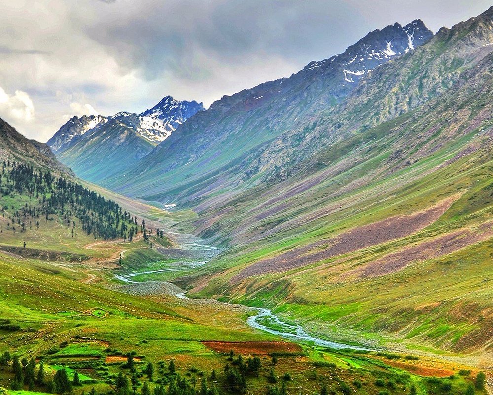 Deosai National Park